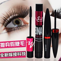 Mascara + lụa ghép sợi không thấm nước uốn cong dày mascara không nở hai gói - Kem Mascara / Revitalash mascara feg