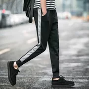 Quần âu nam phiên bản Hàn Quốc của quần ống rộng chín xu hướng quần harem cỡ lớn quần mỏng phần thoáng khí quần thể thao chân quần