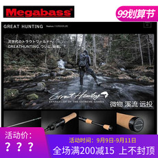 Дорожные суб -полюсный