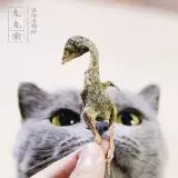 Целая маленькая любовная любовь Марукумару кубическая замороженная сушеная перепела кошачья закуски питание питатель