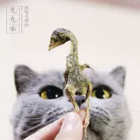 Целая маленькая любовная любовь Марукумару кубическая замороженная сушеная перепела кошачья закуски питание питатель