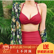 2018 mới Hàn Quốc rượu vang đỏ eo cao che bụng thép tấm tụ tập bikini bikini mảnh mai nữ