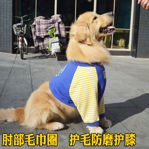 Shiba Inu Bian Musana Musana Dog's Dog's Dog's Pad На передней ноге, чтобы защитить золотой локоть золотисто