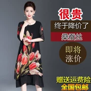 Váy hoa lụa của phụ nữ Hoa Kỳ năm 2019 phổ biến mới Xia Sang lụa lụa lớn - váy đầm
