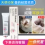Pháp tai da chó làm sạch tai chó cưng mèo loại bỏ viêm tai giữa viêm tai - Cat / Dog Medical Supplies máy siêu âm cho chó mèo