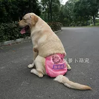 PET Big Dog Physiogical штаны Большая собака Менструальные штаны, чтобы предотвратить преследование золотых волос Лабрадор Санигирские штаны.