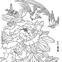 Китайская живопись входные мазки Baihua Драфт начинающих копировать коллекцию цветов Baihua вместе