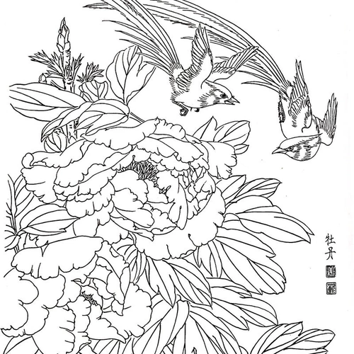 Китайская живопись входные мазки Baihua Драфт начинающих копировать коллекцию цветов Baihua вместе