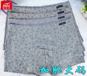 Chất liệu cotton nam Fu Nilai mới cộng với phân bón để tăng quần boxer thêm chất liệu cotton co giãn 1105