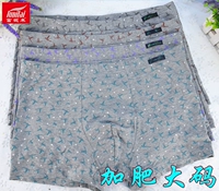 Chất liệu cotton nam Fu Nilai mới cộng với phân bón để tăng quần boxer thêm chất liệu cotton co giãn 1105 đồ lót nam nữ