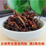 Юньнань Специальное масло куриное куриное бэнд (Anta, курица) куриное масло масла yongshun Mountain Zhen Дикие бактерии 320 грамм бесплатной доставки