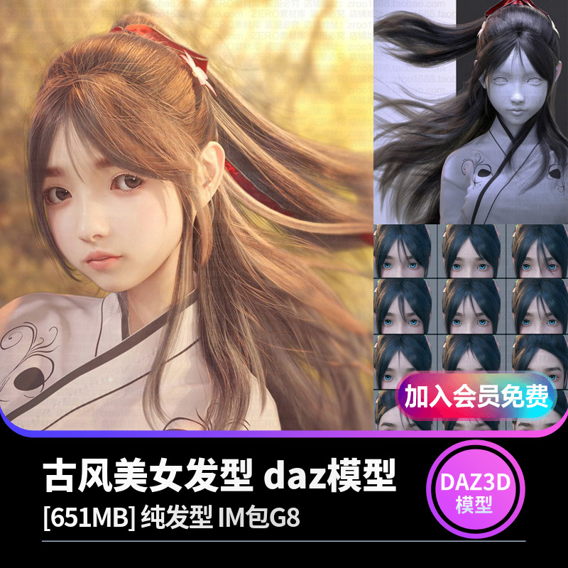 古风美女发型 daz模型[651MB] 纯发型 IM包G8-cg男孩