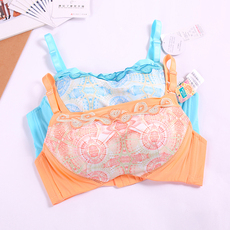 Бюстгальтер