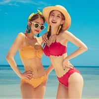 Mới gợi cảm ren nhỏ tươi chia nhỏ ngực thép tấm bikini bikini giảm béo nóng mùa xuân tắm phù hợp với kích thước lớn - Bikinis bộ đồ bơi dài tay