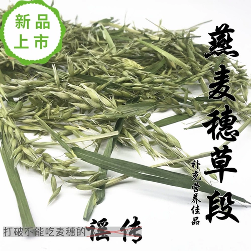 Высыхание овсяных ушей и травы секции кролика Тоторо Голландский