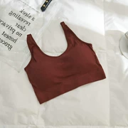 Mẫu vest chất lượng thoải mái tụ tập áo ngực thoáng khí nữ sinh thể thao đồ lót cotton không vòng thép giảm giá đặc biệt 2019 - Đồ lót thể thao