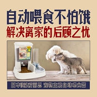 Япония Iris, Alice Cat Dog автоматическая корм