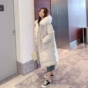 Áo chống mưa cho nữ dài phần 2019 mùa đông phiên bản mới của Hàn Quốc áo cotton dày buông lỏng sinh viên - Bông