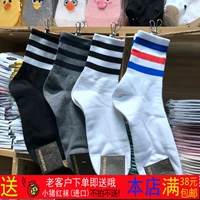 F-11 Hàn Quốc KIKIYA nhập khẩu Dongdaemun mua sắm quần sọc đơn giản kinh doanh vớ cotton bốn mùa tất cao cổ nữ