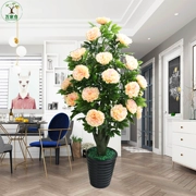 Cây mô phỏng chậu hoa lan trang trí phòng khách sàn hoa giả chống hoa trang trí nhà Du Fu trong nhà hoa mẫu đơn lớn - Hoa nhân tạo / Cây / Trái cây