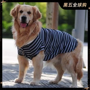 Весенняя летняя джинсовая майка топ, большой размер