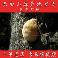 Чанбайский гориоризовый гриб 30 юань 200 грамм бесплатного порошка