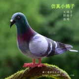 忕伆 楦 楦 灏 灏 瓙 瓙 瓙 瓙 瓙 瓙 瓙 瓙 庨 庨 愮 愮 帺 帺 鑺 鑺 鑺 愰 愰 鍏 鎽勫 鎷 鎷 鐜 叿阆 揿 叿浠 湡楦 湡楦 湡 湡 鎽勫 鎷 鐜 揿 鏁椤 叿浠 湡楦 湡楦 湡 湡楦 湡楦 湡楦 湡楦 湡楦