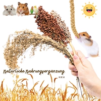 [Стинг Планета] Хомять попугай птица натуральные закуски серии Huanggu Speed/Coconut/Sorghum adium speed/Flower