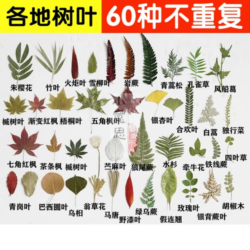 Школьный образец для раннего возраста, наклейки ручной работы, семейный стиль, в цветочек