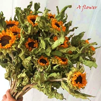 Подсолнечные высушенные цветы Букет Большой букет в стиле нордический стиль