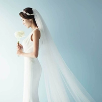 Корейское стиль невеста свадебное платье супер сказочное длинное сопротивление простые газовые короткие свадебные путешествия 10m 5 5
