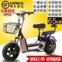 Xe điện 48V dành cho người lớn dùng pin ắc quy - Xe đạp điện các loại xe máy điện