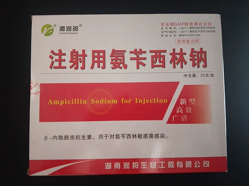 Ветеринарная медицина свинина, крупный рогатый скот и овец для аммиака натрия натрия натрия, героиня пневмония, воспаление молочной железы, воспаление матки подозрительные заболевания