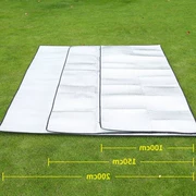 Moistureproof pad ngoài trời dày dã ngoại lều thảm cỏ đôi đơn 3-4 người cắm trại bãi biển mat mat thủy triều - Thảm chống ẩm / Mat / Gối