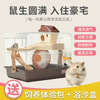 Alex Hamster Cage Double -Sroom Basic Cage Set Double -Layer Prevention Prison Super и Cheap Cleaning