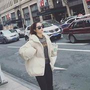 Anta phiên bản Hàn Quốc 2018 mùa đông mới xuống bông độn bánh mì quần áo phụ nữ ngắn đoạn bông mịn áo khoác cotton áo khoác dày - Quần áo độn bông thể thao