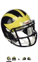 Коллекция NCAA Riddell Speed ​​Mini Rugby Helmet Michigan