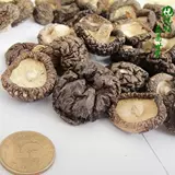 Self -Supressing Xioxiang 蛞 呱 蛞 蛞 蛞 蛞 抑 抑 抑 抑 抑 250g