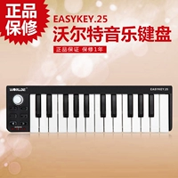 Easy Key25 MIDI Controller/Music Editor