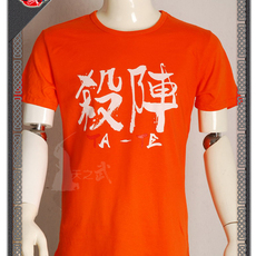 Форма для Кендо 天之武 日本剑道 杀阵