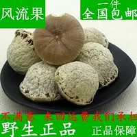 Меморальные фрукты китайские лекарственные материалы Высококачественные дикие подлинные высококачественные высококачественные чайные пузырь