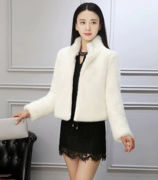 Chống mùa khuyến mãi 2018 mùa đông mới của Hàn Quốc giả lông 貂 貂 貂 lông lông một đứng cổ áo ngắn áo khoác nữ
