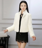 Chống mùa khuyến mãi 2018 mùa đông mới của Hàn Quốc giả lông 貂 貂 貂 lông lông một đứng cổ áo ngắn áo khoác nữ áo khoác lót lông nam