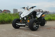 Cao với Zongshen 150 xe mô tô ba bánh ATV ngược Dachuanqi xe máy ba bánh ngược
