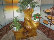 Jinsi Nanmu root khắc khung nhà phòng khách nghiên cứu cây gốc tự nhiên toàn cây bonsai đứng giá Y9061 - Các món ăn khao khát gốc