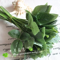 Моделирование с цветами листовой штекалы, цветочным букетом на День святого Валентина материал Blue Demon Ji Hua Zhi Dty Material