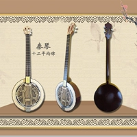 Волны инструмента наполовину двенадцати среднего юридического дворца Сансин Цинкин Музыкальный инструмент выполняет Sanxian Python Skin Qinqin New Model