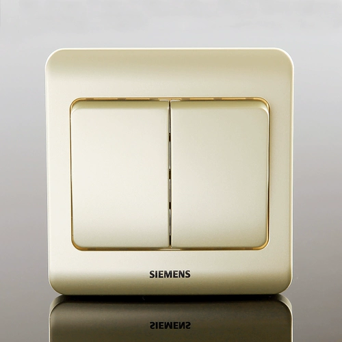 Siemens Switch Spocket Panel Vision Золотой коричневый два -открытый мультиконтрол переключатель