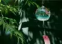 Park Yong tự điều chỉnh tre rừng gió tươi và thơm dài ladies nước hoa ánh sáng tre mùa hè mát mẻ đề nghị mẫu nước hoa chanel nữ