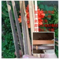 Материал Bird Cage \ Мотор бамбуковые палочки благовония.